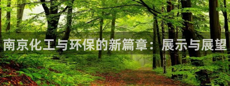 电影亿万：南京化工与环保的新篇章：展示与展望