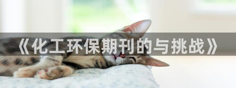 亿万先生手机版入口在哪：《化工环保期刊的与挑战》