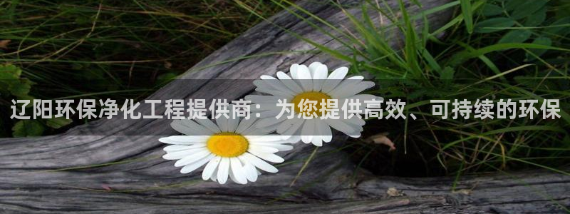 亿万先生合并网址是什么：辽阳环保净化工程提供商：为您提供高效、可持续的环保