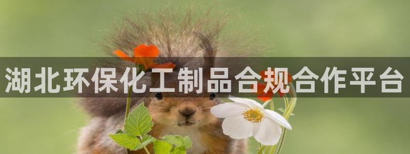 亿万先生手游下载安装：湖北环保化工制品合规合作平台