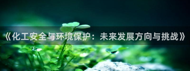 亿万网友在线实时为你解答：《化工安全与环境保护：未来发展方向与挑战》