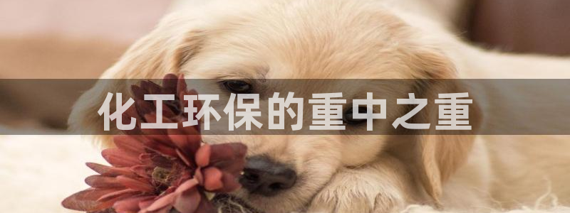 亿万先生007客服：化工环保的重中之重