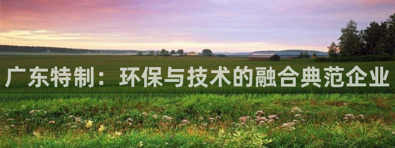 亿万先生手机版客户端下载安装：广东特制：环保与技术的融合典范企业