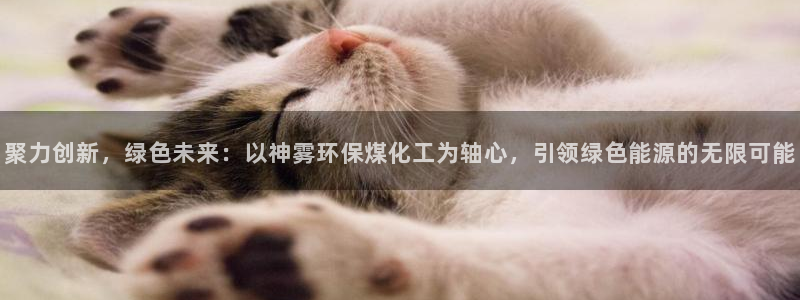 亿万百度百科：聚力创新，绿色未来：以神雾环保煤化工为轴心，引领绿色能源的无限可能