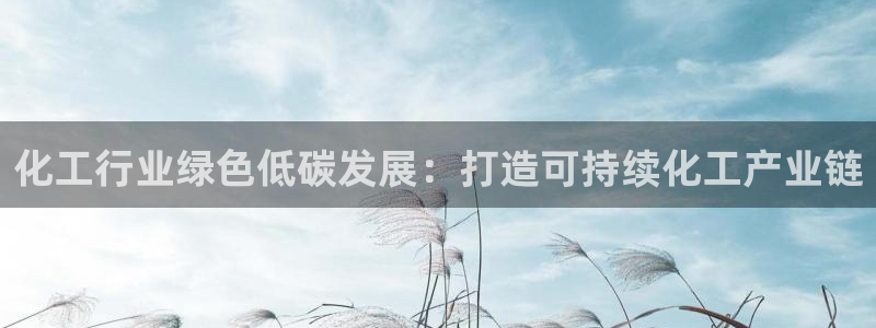 mr001亿万先生：化工行业绿色低碳发展：打造可持续化工产业链