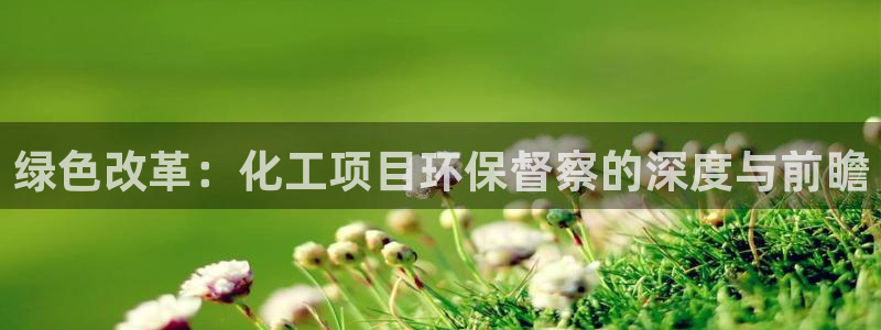 亿万剧情详解：绿色改革：化工项目环保督察的深度与前瞻