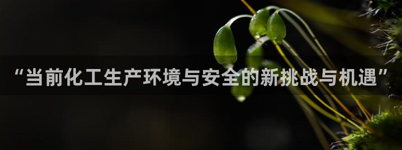 亿万先生客户端官网下载：“当前化工生产环境与安全的新挑战与机遇”