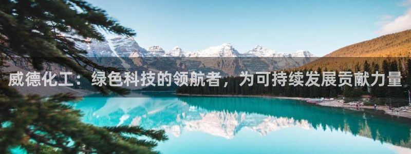 亿万先生官方网站下载手机版：威德化工：绿色科技的领航者，为可持续发展贡献力量