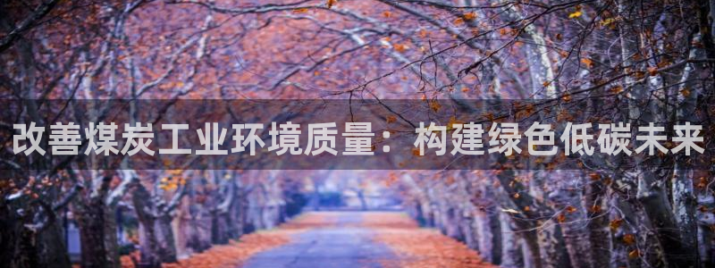 亿万网络科技有限公司：改善煤炭工业环境质量：构建绿色低碳未来