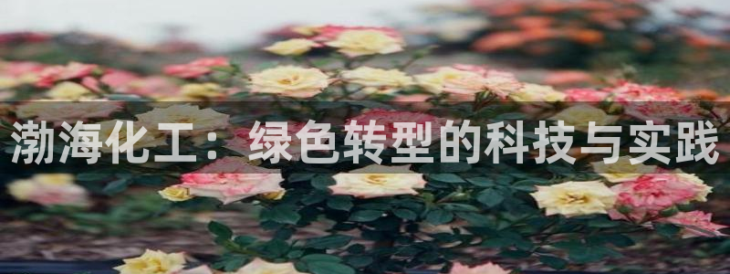 亿万首富游戏破解版无限钻石：渤海化工：绿色转型的科技与实践