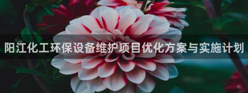 亿万先生 菲律宾：阳江化工环保设备维护项目优化方案与实施计划
