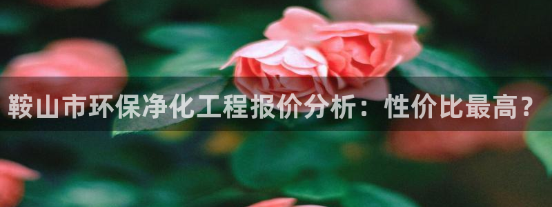 亿万国际游戏官网手机版：鞍山市环保净化工程报价分析：性价比最高？