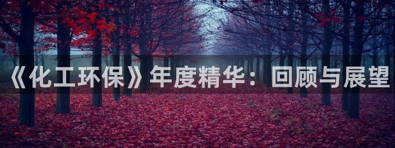 亿万先生客服联系：《化工环保》年度精华：回顾与展望