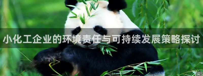 亿万下载徐家汇朋友圈说说：小化工企业的环境责任与可持续发展策略探讨