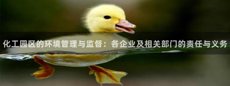 亿万国际：化工园区的环境管理与监督：各企业及相关部门的责任与义务