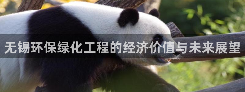 亿万网友在线解答：无锡环保绿化工程的经济价值与未来展望