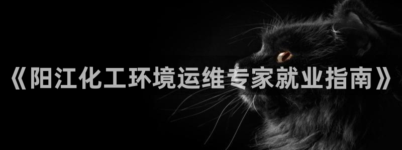 亿万先生网红：《阳江化工环境运维专家就业指南》