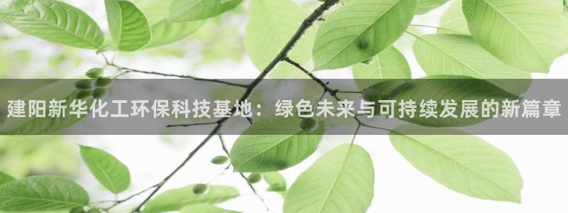 亿万先生网址改了吗：建阳新华化工环保科技基地：绿色未来与可持续发展的新篇章