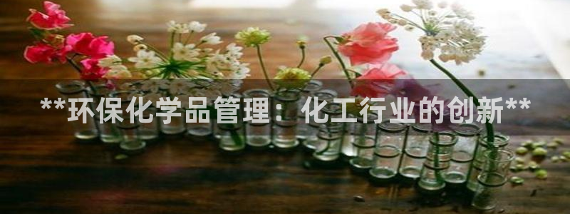亿万先生mr：**环保化学品管理：化工行业的创新**