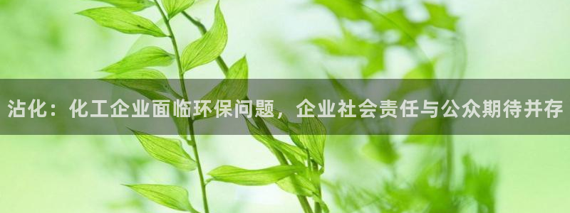 亿万网络科技有限公司：沾化：化工企业面临环保问题，企业社会责任与公众期待并存