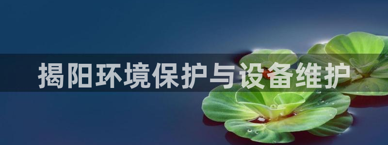 亿万首富手游：揭阳环境保护与设备维护