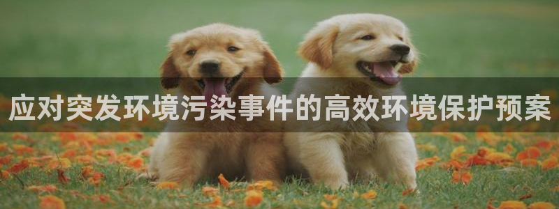 亿万先生网页在线客服：应对突发环境污染事件的高效环境保护预案