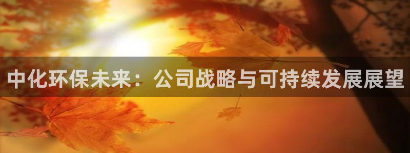 亿万先生下载客户端：中化环保未来：公司战略与可持续发展展望