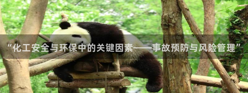 亿万先生官方网站客户端下载安装最新版：“化工安全与环保中的关键因素——事故预防与风险管理”