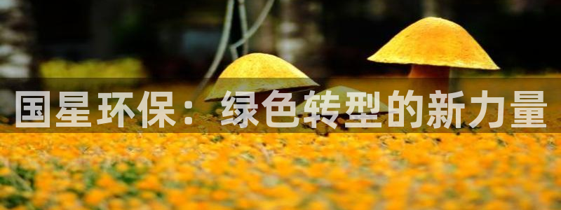亿万手游平台官网：国星环保：绿色转型的新力量