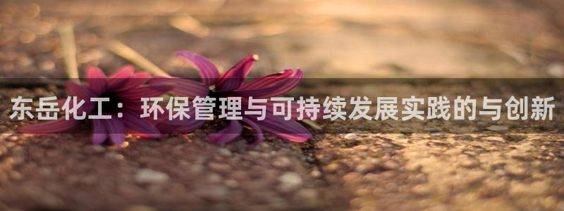 亿万先生手机版入口在哪看：东岳化工：环保管理与可持续发展实践的与创新