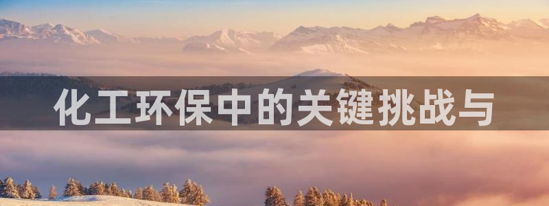 亿万先生现在的网址谁知道是真的：化工环保中的关键挑战与