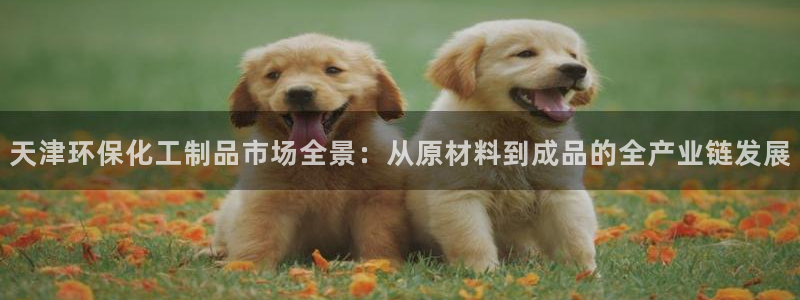 亿万先生网址生：天津环保化工制品市场全景：从原材料到成品的全产业链发展