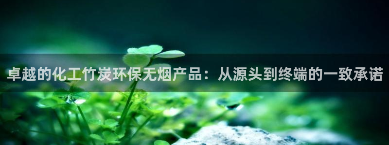 亿万先生官方网站下载安装：卓越的化工竹炭环保无烟产品：从源头到终端的一致承诺