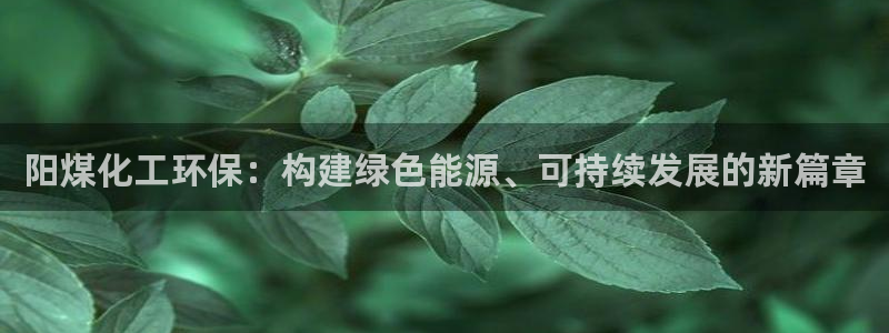 mr001亿万先生：阳煤化工环保：构建绿色能源、可持续发展的新篇章