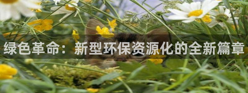 亿万先生mr:绿色革命:新型环保资源化的全新篇章