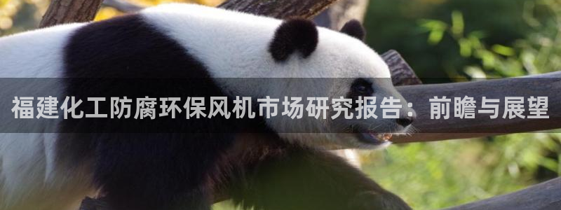 mr07亿万先生:福建化工防腐环保风机市场研究报告:前瞻与展望