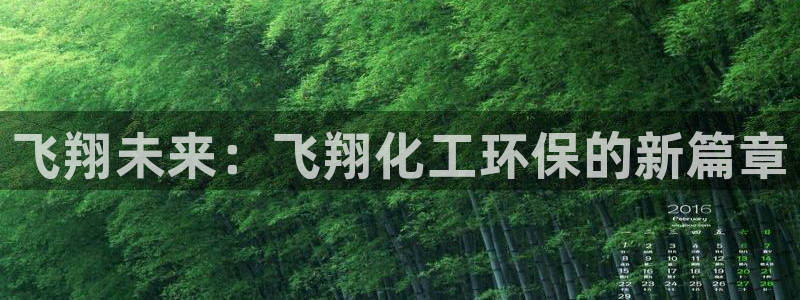 亿万剧情介绍：飞翔未来：飞翔化工环保的新篇章