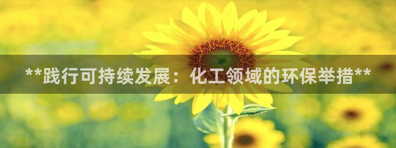 亿万先生手机网：**践行可持续发展：化工领域的环保举措**