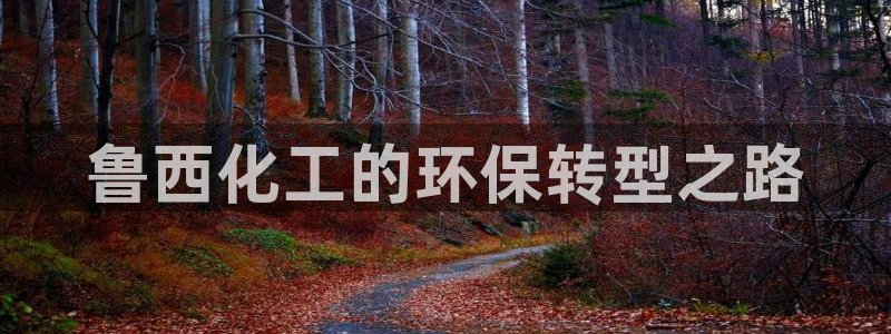 mr亿万先生：鲁西化工的环保转型之路